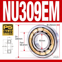 Vòng bi đũa - bạc đạn đũa trụ NU309EM (Trục tự do - lồng cách bi Đồng - kt 5*100*25 mm)