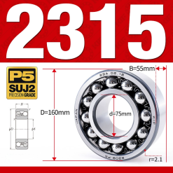 Vòng bi - bạc đạn tự lựa 2319 (Bi cầu - 2 dãy - 95*200*67 mm)