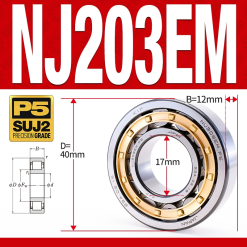 Vòng bi đũa - bạc đạn đũa trụ NJ203EM (Chặn trục 1 chiều - lồng cách bi Đồng - kt 7*40*12 mm)