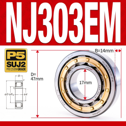 Vòng bi đũa - bạc đạn đũa trụ NJ303EM (Chặn trục 1 chiều - lồng cách bi Đồng - kt 7*47*14 mm)