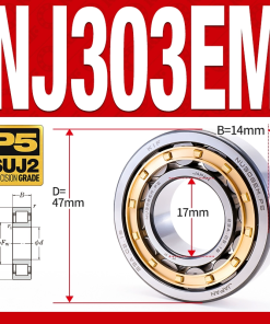 Vòng bi đũa - bạc đạn đũa trụ NJ303EM (Chặn trục 1 chiều - lồng cách bi Đồng - kt 7*47*14 mm)