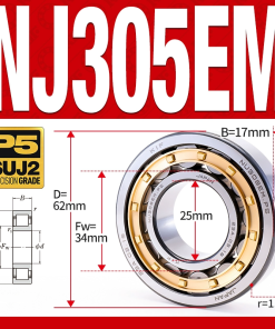 Vòng bi đũa - bạc đạn đũa trụ NJ305EM (Chặn trục 1 chiều - lồng cách bi Đồng - kt 25*62*17 mm)