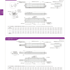 00220VC10203 iyRAr 1 VC10 Module truyền động tuyến tính vít me Dòng VC (Chống xoắn, Tải trọng nặng)