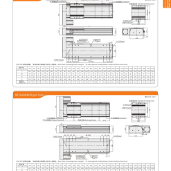 00220VF22202 yWmeU 1 VF22 Module truyền động tuyến tính vít me Dòng VF (Chống xoắn)