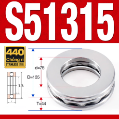 Vòng bi - bạc đạn SS51315 (Chặn trục - Inox 304 - 75*135*44 mm)