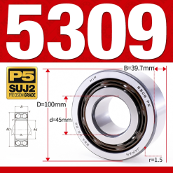 Vòng bi - bạc đạn 5309 (Không phớt - 45*100*39,7 mm)