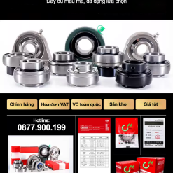 00620GE1BB91i20C491E1BBA120UCP200201 REA8b 1 Gối đỡ vòng bi Inox 304 SSUCT 2xx