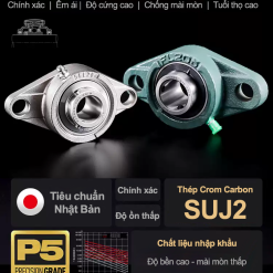 00620GE1BB91i20C491E1BBA120UCPA2010 gmEbr Gối đỡ vòng bi UCPA203 (Tiêu chuẩn - Đường kính trong 17 mm)