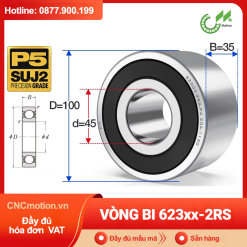 Vòng bi 623xx-RS