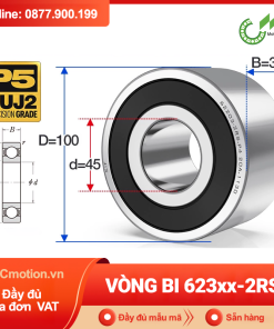Vòng bi 623xx-RS