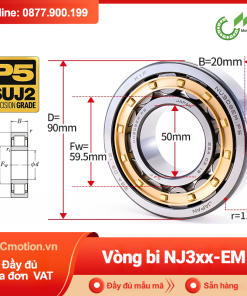 Vòng bi đũa - bạc đạn đũa trụ NJ30x