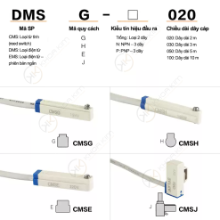 Cảm biến xi lanh DMS CMS EMS 6 008 CMS DMS 1 copy 008 CMS DMS 1 copy Cảm biến xi lanh DMS CMS EMS