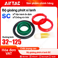 Gioăng phớt xi lanh Airtac